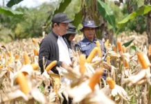 Bupati: SADESAHE angkat produktivitas desa Bengkulu Utara