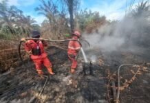 Pasukan Manggala Agni Lintas Provinsi Diterjunkan Kepung Titik Api di Sumatra