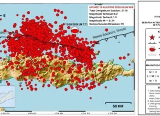 BMKG Catat 2.119 Gempa Susulan Flores, Pemantauan Terus Dilakukan