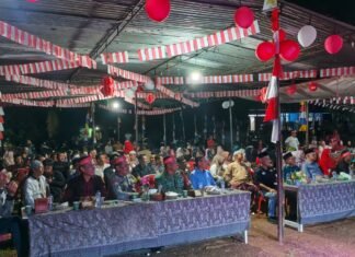 Gema Kemerdekaan Berbalut Pentas Budaya Dimalam Puncak Kegiatan Desa Karang Anyar I