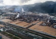 Dari Tambang hingga Kehutanan, PROLOG Usulkan Satu Koordinasi untuk Pembangunan Berkelanjutan